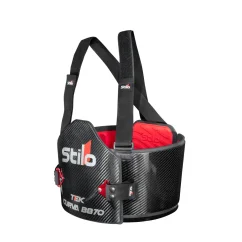 Stilo Chránič žeber Carbon Curva TEC FIA 8870